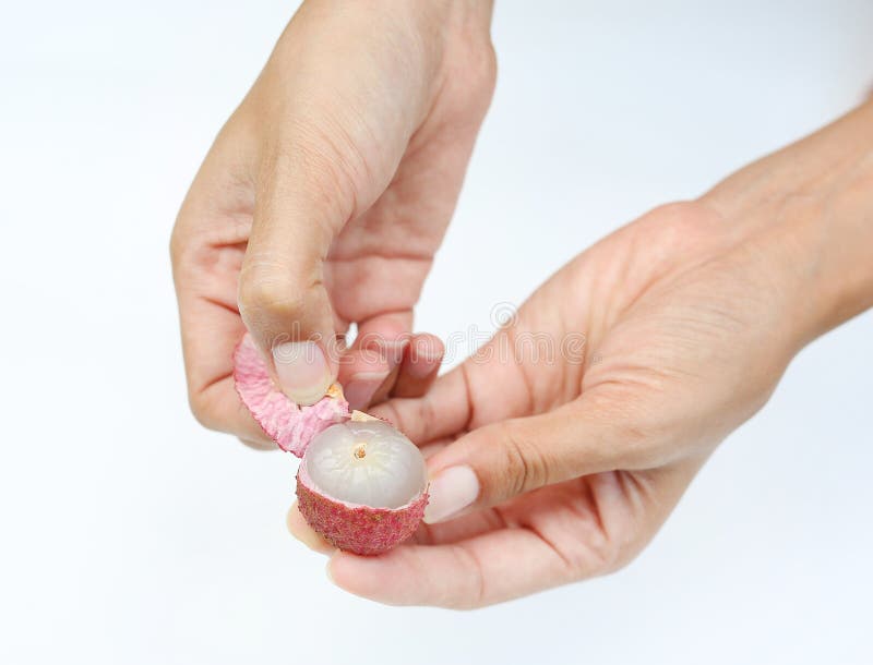 Руки слезая lychees изолированные на белой предпосылке стоковые изображения rf